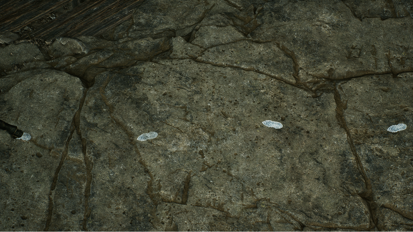 Snow residue carried onto a different surface.